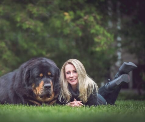 How Much is a Chinese Tibetan Mastiff